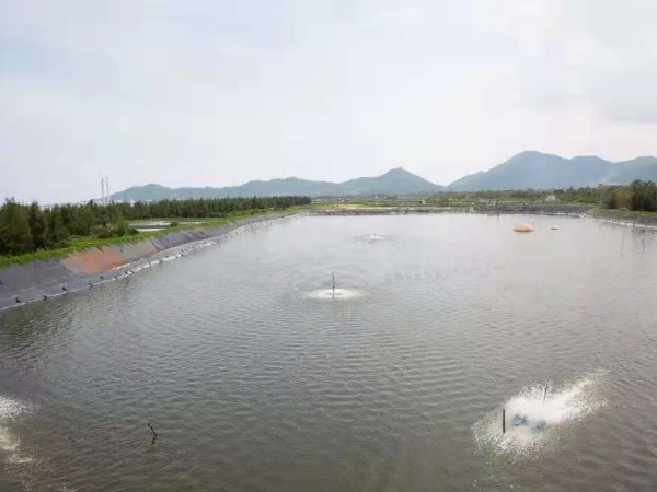 淺要分析氨氮毒理?。?！